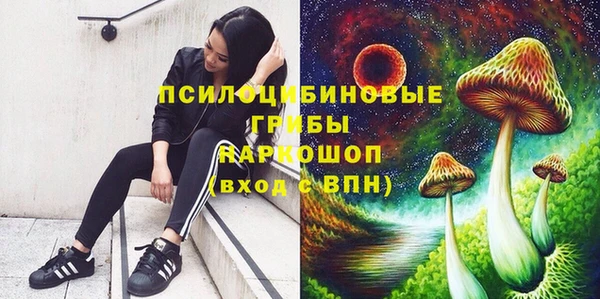 каннабис Алексеевка