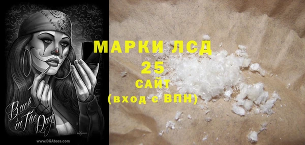 прущие грибы Алзамай